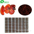 best chinese herbal medicine natural and pure ganoderma red mushroom softgel